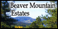 Beaver Mountain Estates