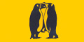 Penguin Construction