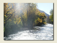 Buena Vista, Colorado - Cottonwood Creek. 