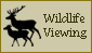 Wildlife Viewing in Chaffee County, Colorado