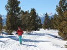Cross Country Skiing the Leadville Mineral Belt Trail 