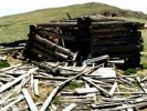 Historic building in ghost town of Columbia City, CO