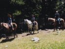 Horseback riding in Colorado