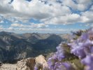 View from near the top of Mount Princeton