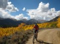 Biking with changing aspen colors