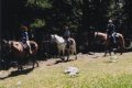 Horseback riding in Colorado