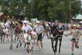 Burro Race at Gold Rush Days, Buena Vista, CO